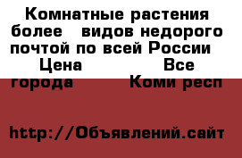 Комнатные растения более200видов недорого почтой по всей России › Цена ­ 100-500 - Все города  »    . Коми респ.